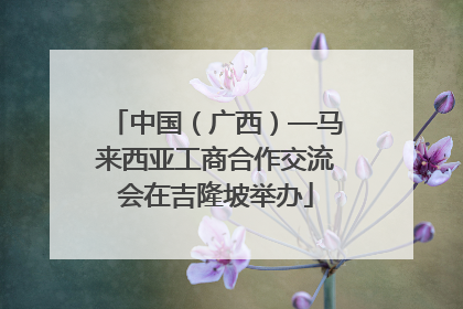 中国（广西）—马来西亚工商合作交流会在吉隆坡举办